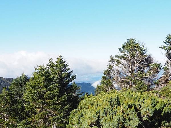 頭鷹山也有展望