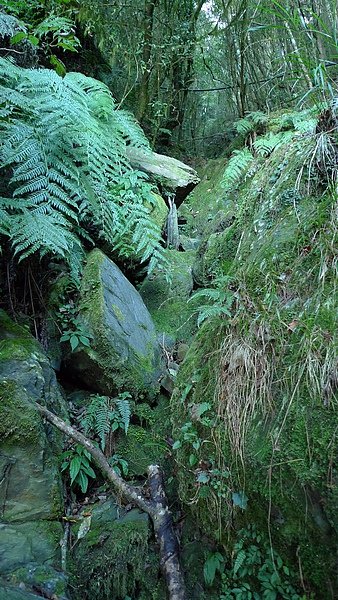 小山澗