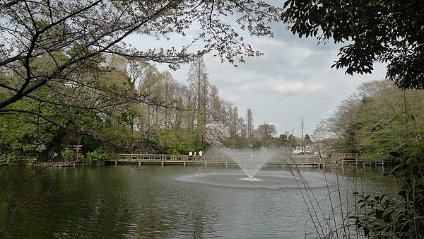 井之頭公園