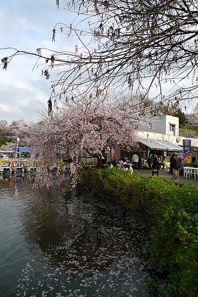 井之頭公園