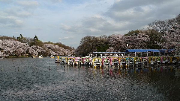 井之頭公園