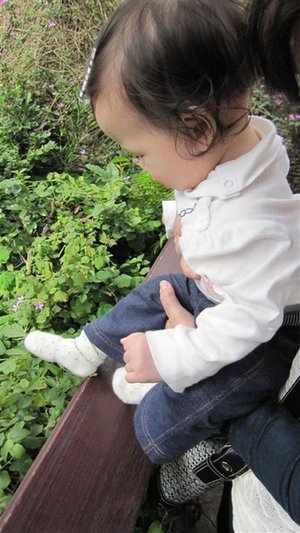 IMG_0113.JPG