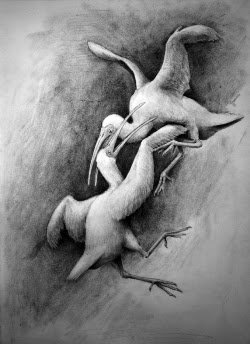 史前忍者鳥 絕種的鳥類，堪稱為史前「忍者鳥」（Xenicibis）