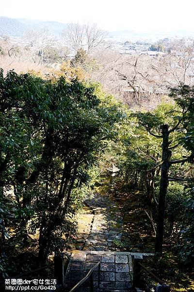 DAY-6+7_11_常寂光寺-5.jpg