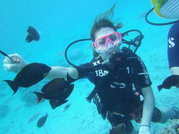關島自由行- -關島旅遊-J&amp;S scuba diving 魚眼公園底下水肺潛水