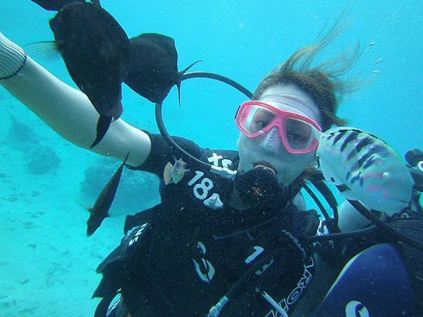 關島自由行- -關島旅遊-J&amp;S scuba diving 魚眼公園底下水肺潛水