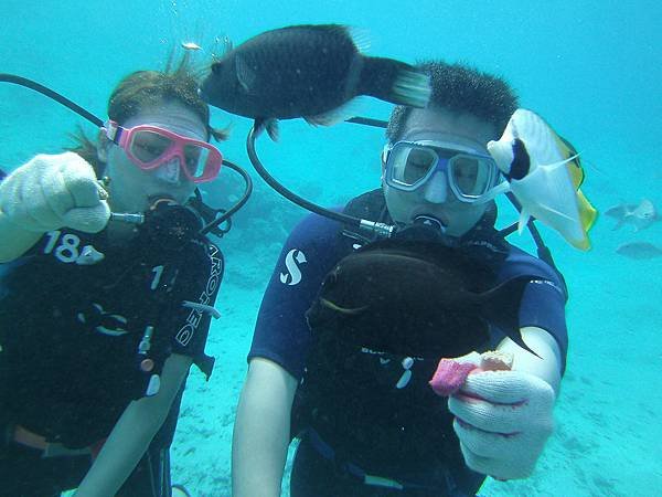 關島自由行- -關島旅遊-J&amp;S scuba diving 魚眼公園底下水肺潛水