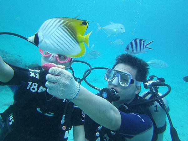 關島自由行- -關島旅遊-J&amp;S scuba diving 魚眼公園底下水肺潛水