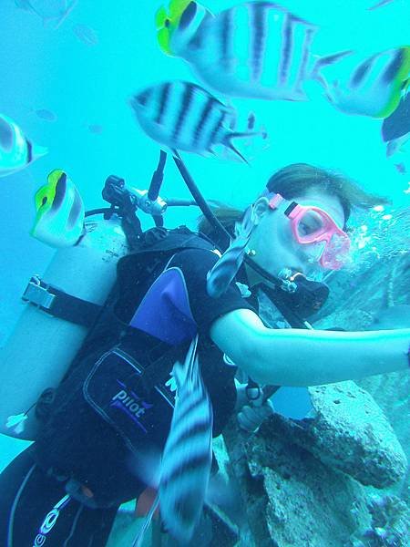 關島自由行- -關島旅遊-J&amp;S scuba diving 魚眼公園底下水肺潛水