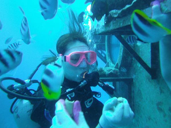 關島自由行- -關島旅遊-J&amp;S scuba diving 魚眼公園底下水肺潛水