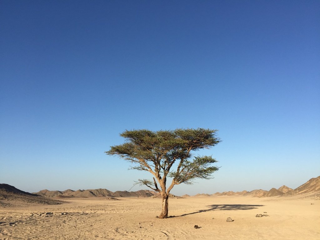 埃及旅遊-埃及 撒哈拉沙漠衝沙(虎加達Hurghada)
