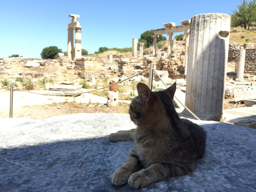 [土耳其旅遊] 土耳其跟團旅行-羅馬古城 以弗所 Ephesus