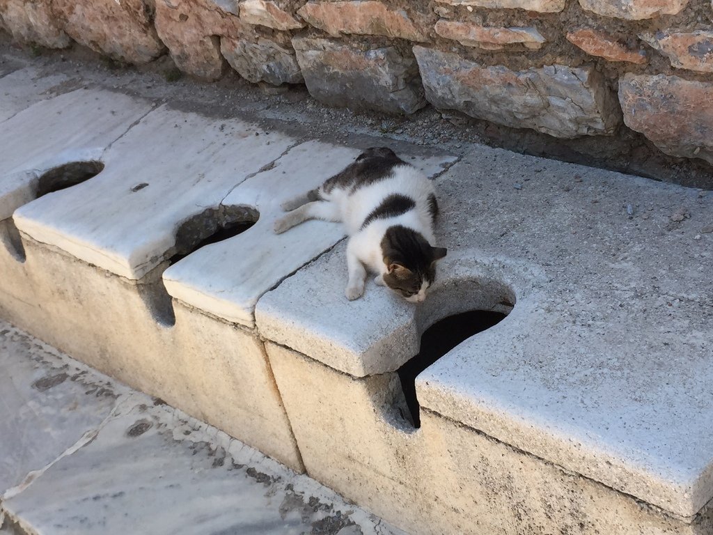 [土耳其旅遊] 土耳其跟團旅行-羅馬古城 以弗所 Ephesus
