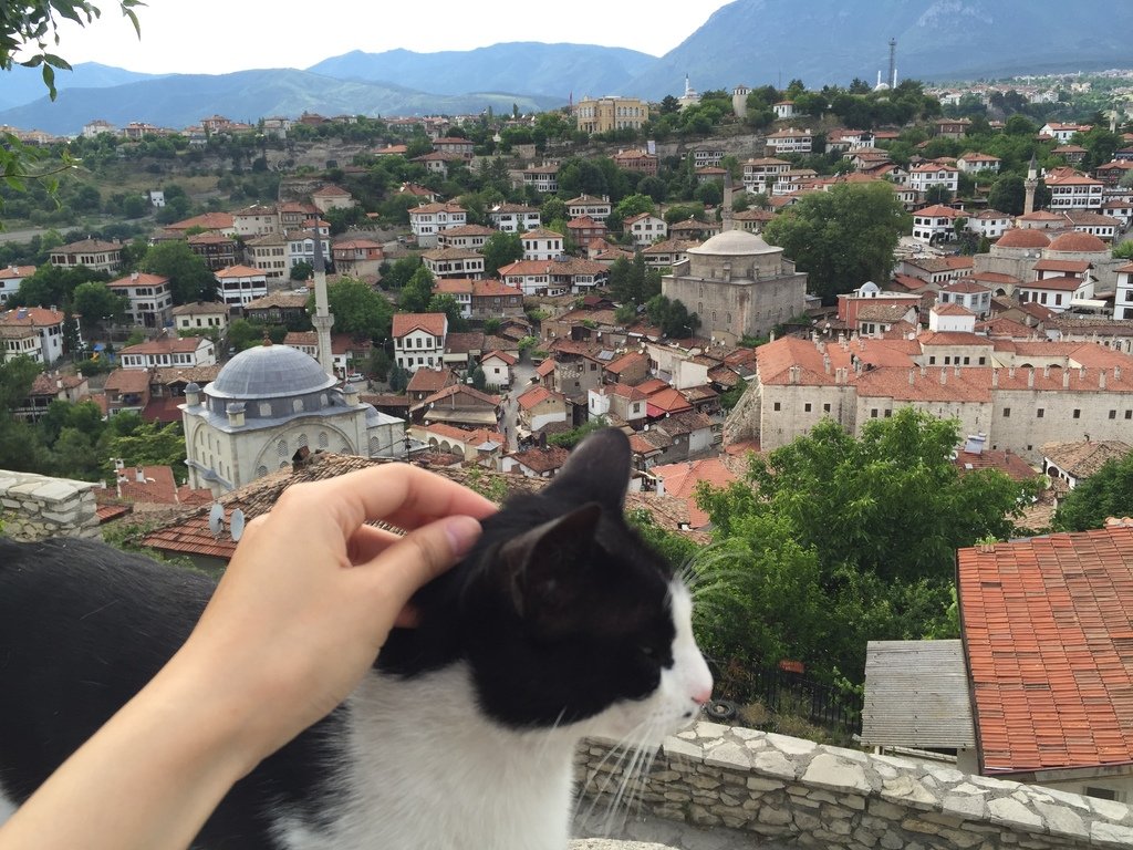 [土耳其旅遊] 土耳其跟團旅行-一次就會愛上的番紅花城safranbolu