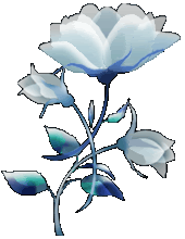 ro_263.gif