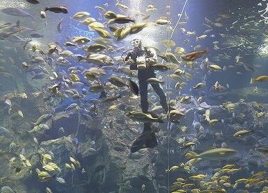 男鹿水族館.JPG