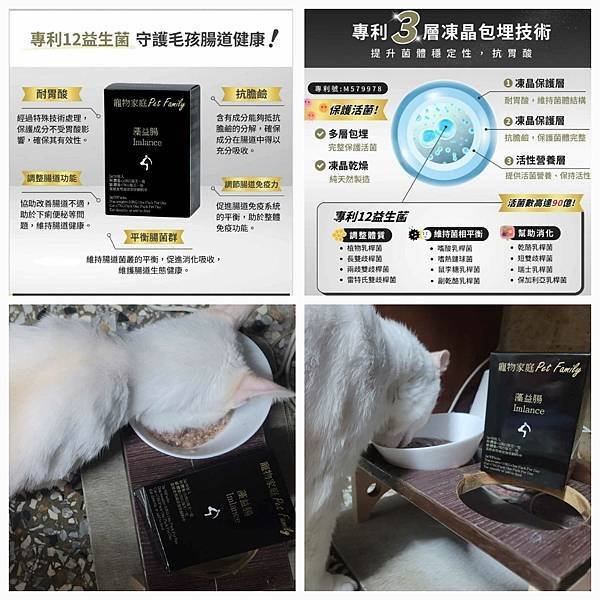 《試用文》寵物家庭-藻益腸