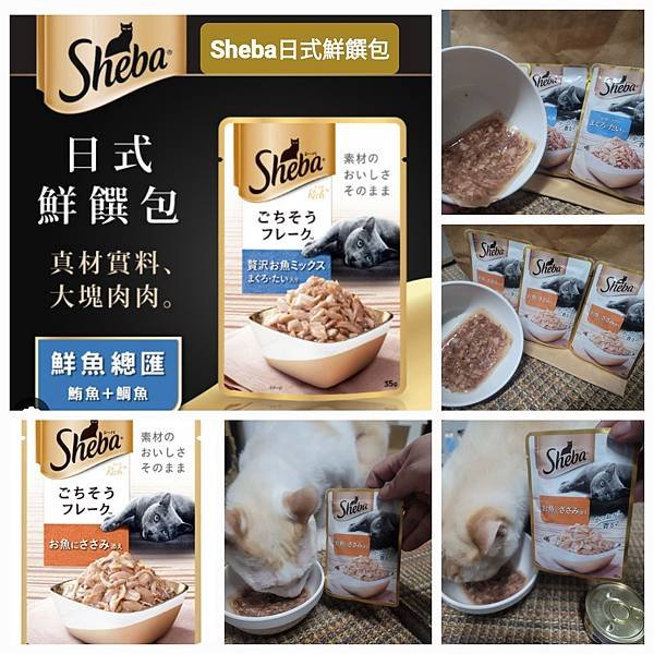 《試用文》Sheba®希寶 鮮肉慕斯主食罐、誘惑泥、日本鮮饌