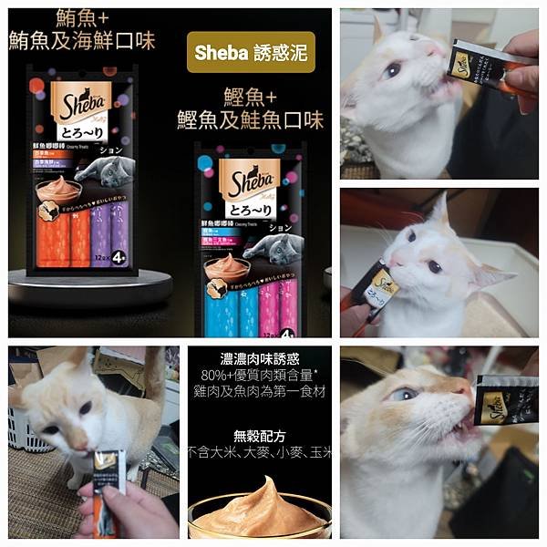 《試用文》Sheba®希寶 鮮肉慕斯主食罐、誘惑泥、日本鮮饌