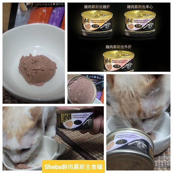 《試用文》Sheba®希寶 鮮肉慕斯主食罐、誘惑泥、日本鮮饌