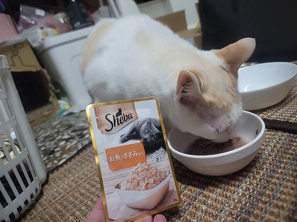 《試用文》Sheba®希寶 鮮肉慕斯主食罐、誘惑泥、日本鮮饌