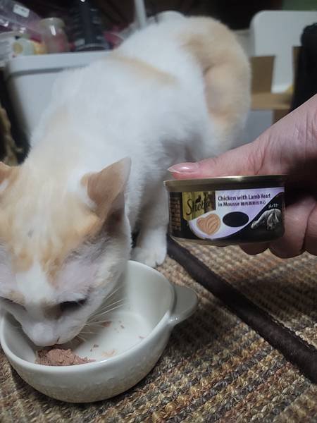 《試用文》Sheba®希寶 鮮肉慕斯主食罐、誘惑泥、日本鮮饌