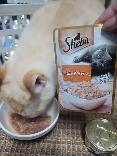 《試用文》Sheba®希寶 鮮肉慕斯主食罐、誘惑泥、日本鮮饌
