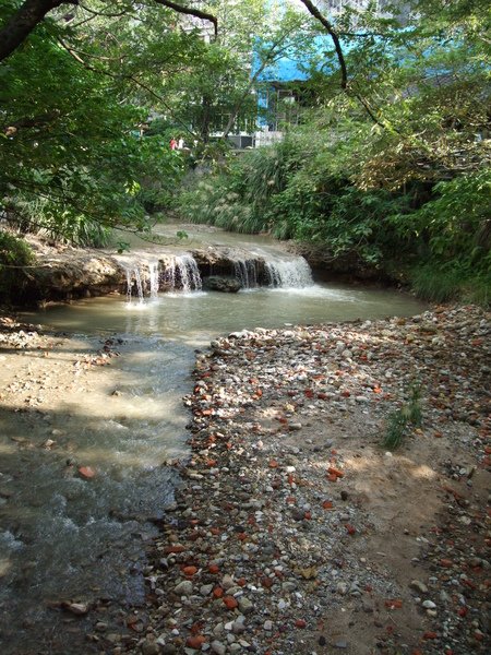 DSCF7146.JPG