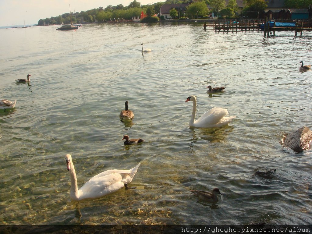 Starnberger See3.jpg