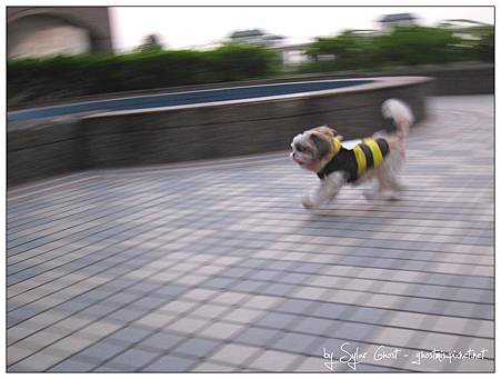 nEO_IMG_IMG_8966.jpg
