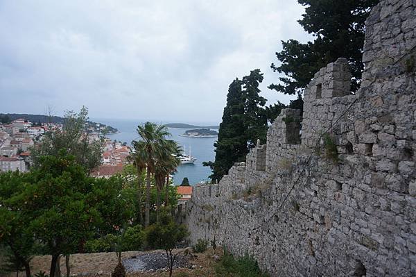 DSC07700