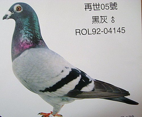 恐怖59系十代簡述