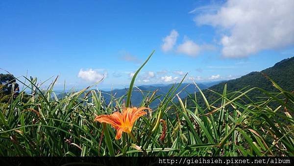 【陪烏龜散步】20150730 親子台灣環島 D6