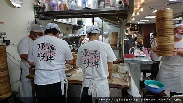 【陪烏龜散步】20160709 台北 頂好紫琳