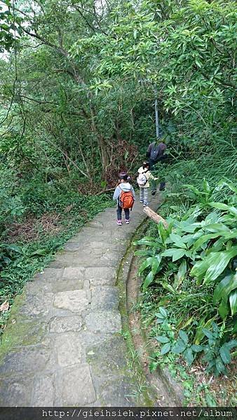 【陪烏龜散步】20161212 白鷺鷥山步道