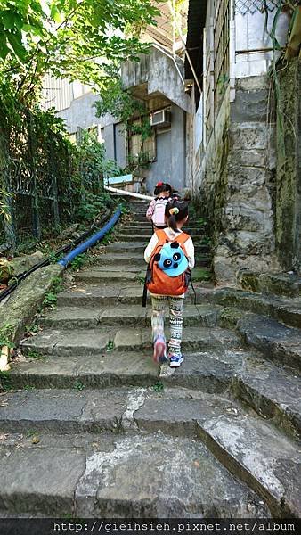 【陪烏龜散步】20161218 水管路步道、天母古道親山步道