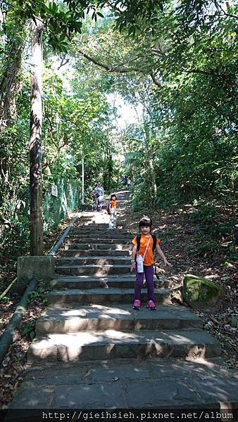 【陪烏龜散步】20161218 水管路步道、天母古道親山步道