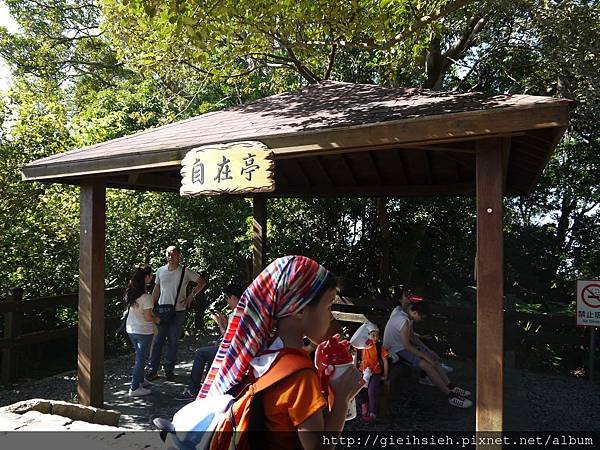 【陪烏龜散步】20161218 水管路步道、天母古道親山步道