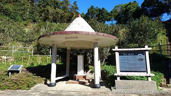 【陪烏龜散步】日月潭 貓囒山步道