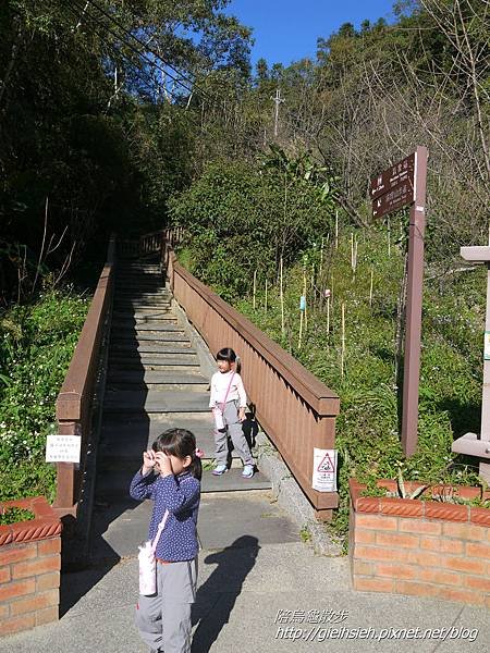 【陪烏龜散步】日月潭 貓囒山步道