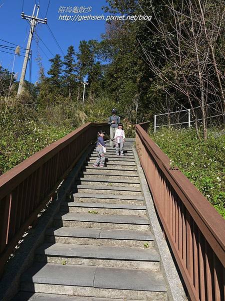 【陪烏龜散步】日月潭 貓囒山步道