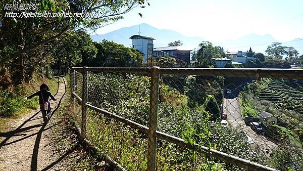 【陪烏龜散步】日月潭 貓囒山步道