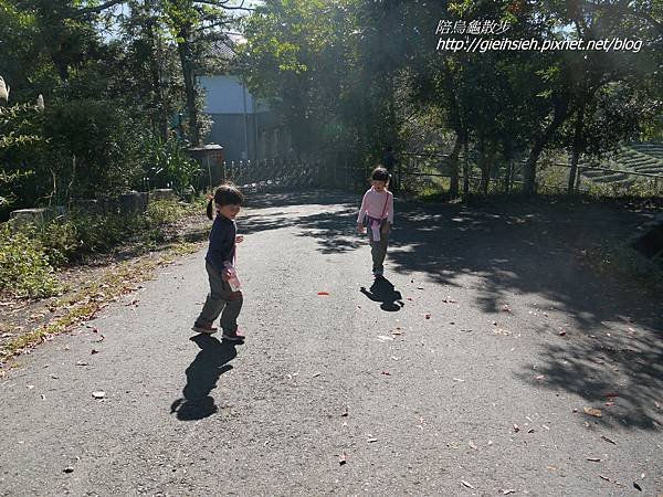 【陪烏龜散步】日月潭 貓囒山步道