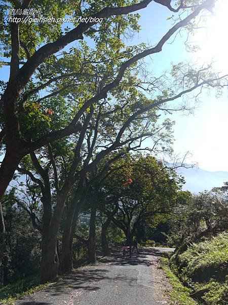 【陪烏龜散步】日月潭 貓囒山步道