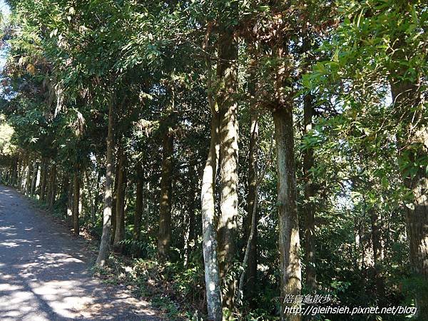 【陪烏龜散步】日月潭 貓囒山步道