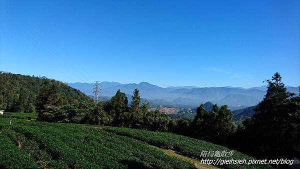 【陪烏龜散步】日月潭 貓囒山步道