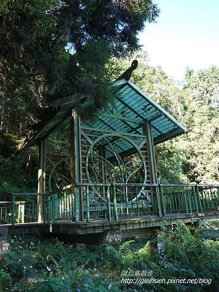 【陪烏龜散步】日月潭 貓囒山步道