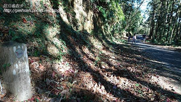 【陪烏龜散步】日月潭 貓囒山步道