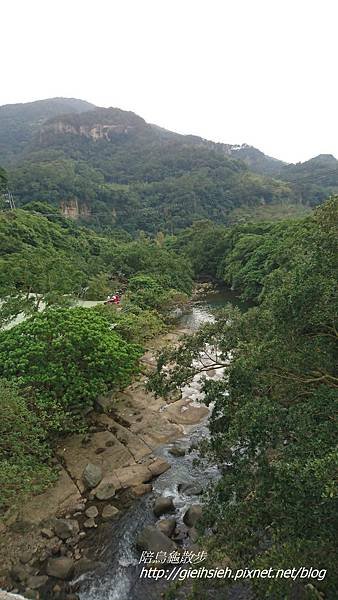 【陪烏龜散步】20170205小溪頭環狀步道:大崙頭山森林步道、大崙頭山自然步道、碧溪步道