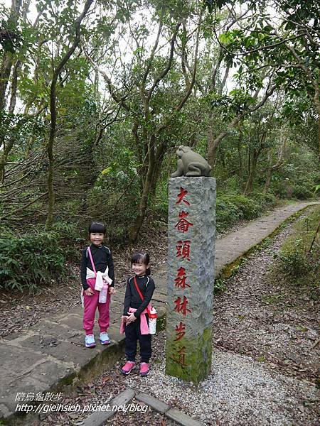 【陪烏龜散步】20170205小溪頭環狀步道 大崙頭自然步道